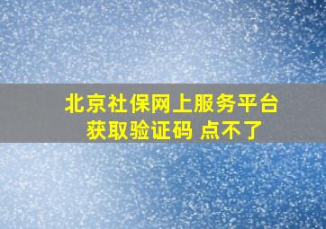 北京社保网上服务平台 获取验证码 点不了